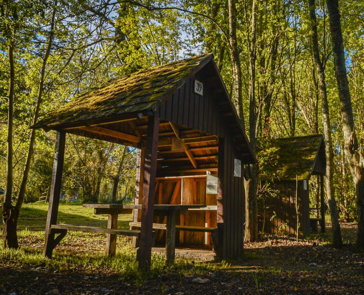 Fotografía 4 de Camping Bahia Coique en Futrono, Los Rios