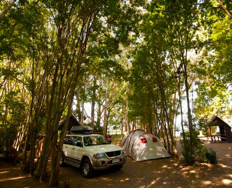 Fotografía 6 de Camping Bahia Coique en Futrono, Los Rios