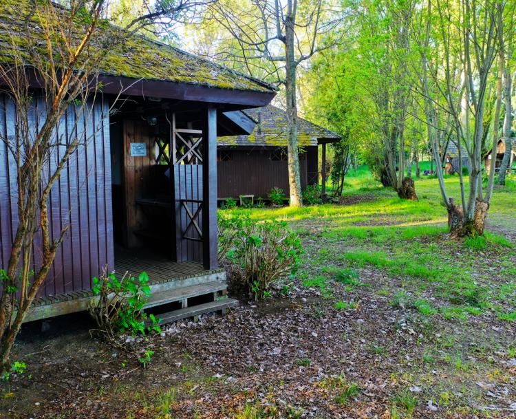 Fotografía 7 de Camping Bahia Coique en Futrono, Los Rios
