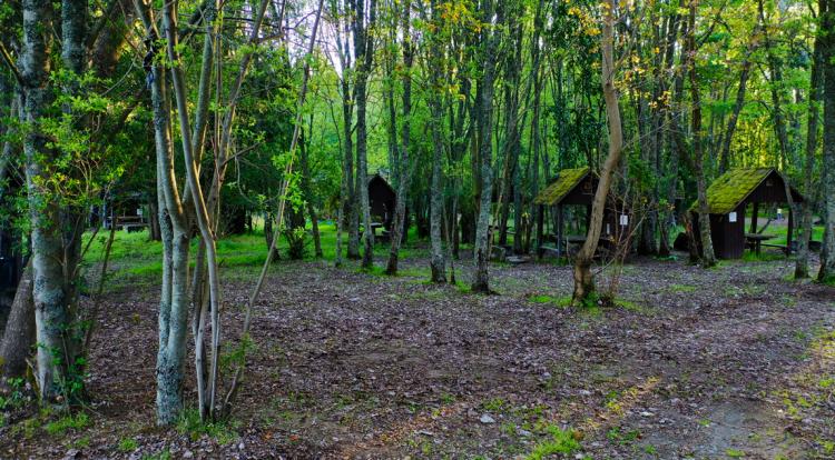 Fotografía 10 de Camping Bahia Coique en Futrono, Los Rios