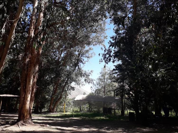 Fotografía 3 de Camping Doña Florentina en Alto Del Carmen, Atacama