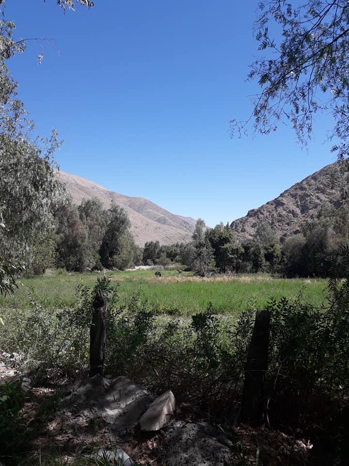 Fotografía 4 de Camping Doña Florentina en Alto Del Carmen, Atacama
