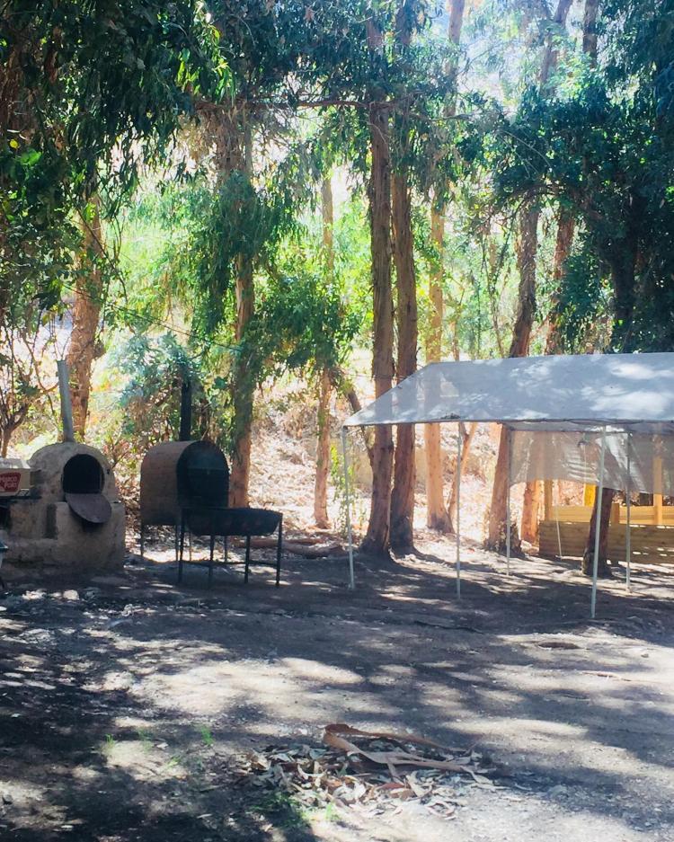 Fotografía 10 de Camping Doña Florentina en Alto Del Carmen, Atacama