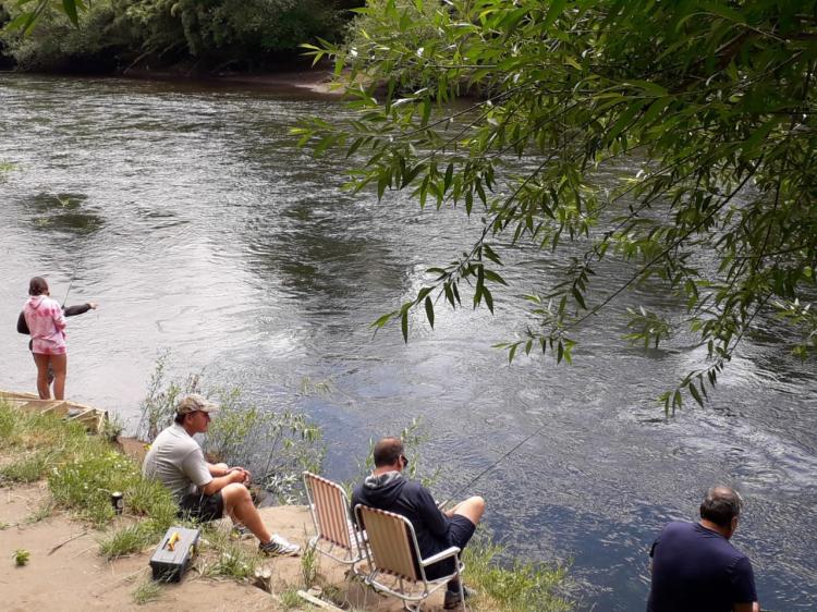 Fotografía 12 de Camping Hans en Pucon, Araucania