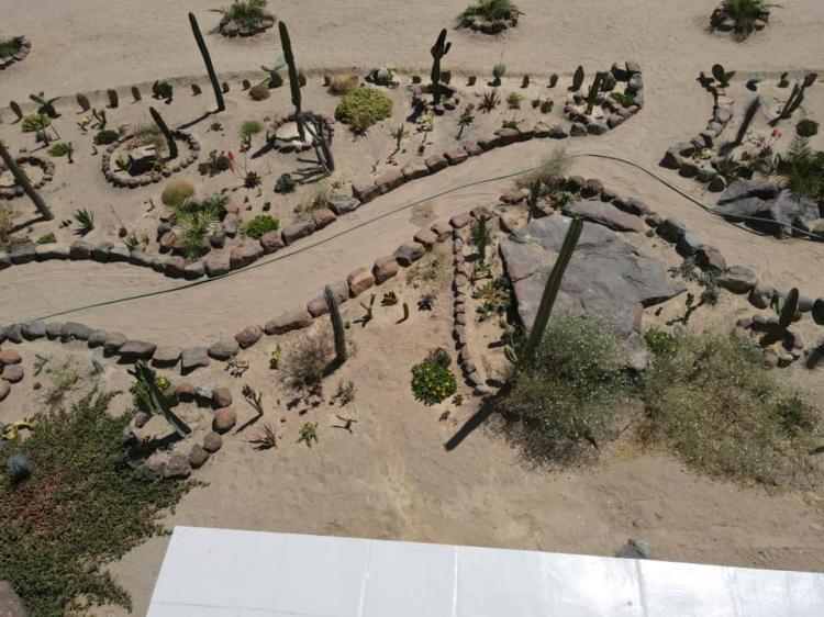 Fotografía 10 de Camping Changos de Rocas Negras en Caldera, Atacama
