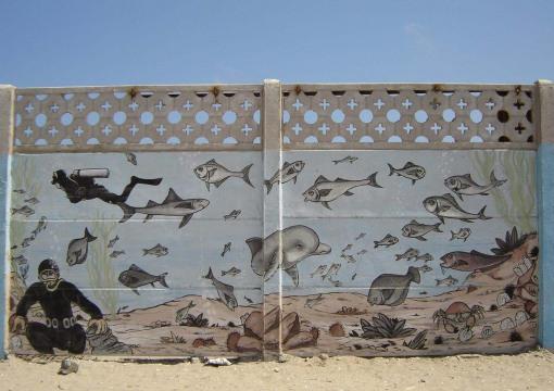 Fotografía 19 de Camping Los Changos Playa La Ventana Punta De Choros. en La Higuera, Coquimbo