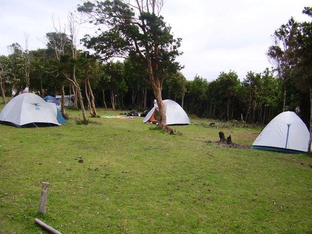 Fotografía 6 de Camping del Abuelo Peto en Chonchi, Los Lagos