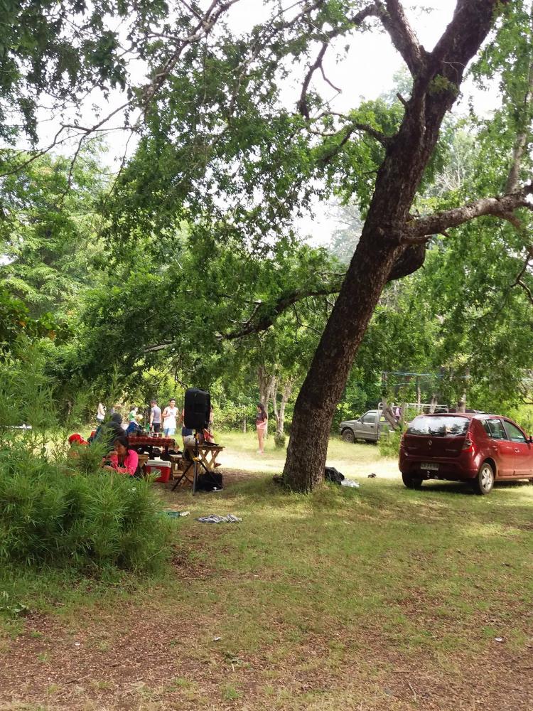 Fotografía 2 de Camping El Canto del Agua en Curacautin, Araucania