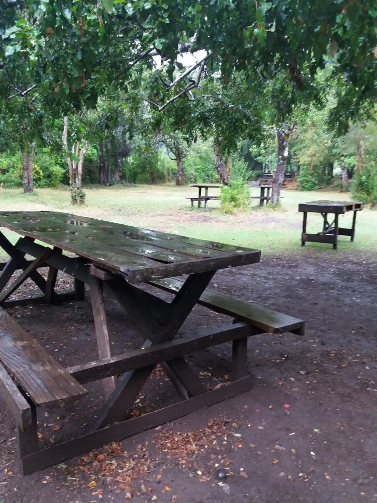 Fotografía 3 de Camping El Canto del Agua en Curacautin, Araucania