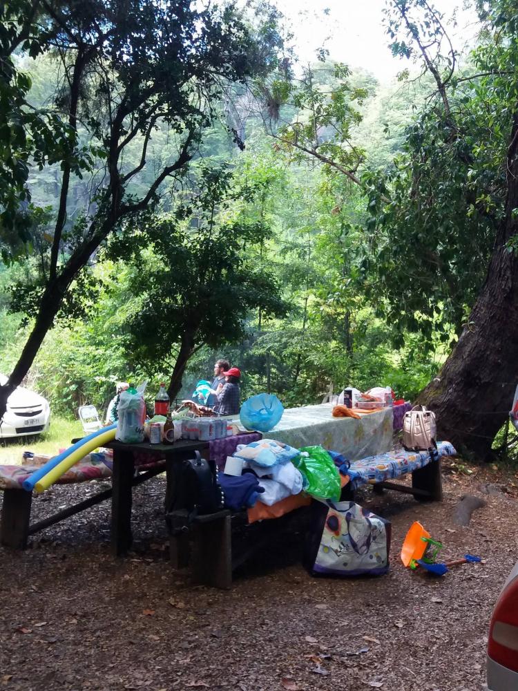 Fotografía 4 de Camping El Canto del Agua en Curacautin, Araucania
