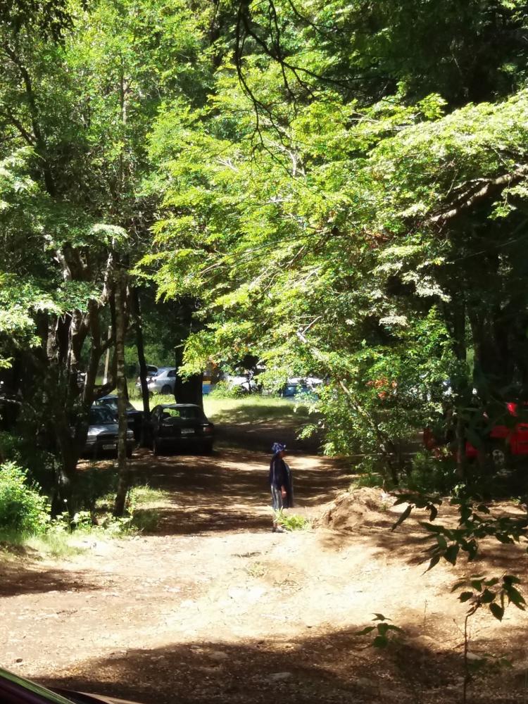 Fotografía 5 de Camping El Canto del Agua en Curacautin, Araucania