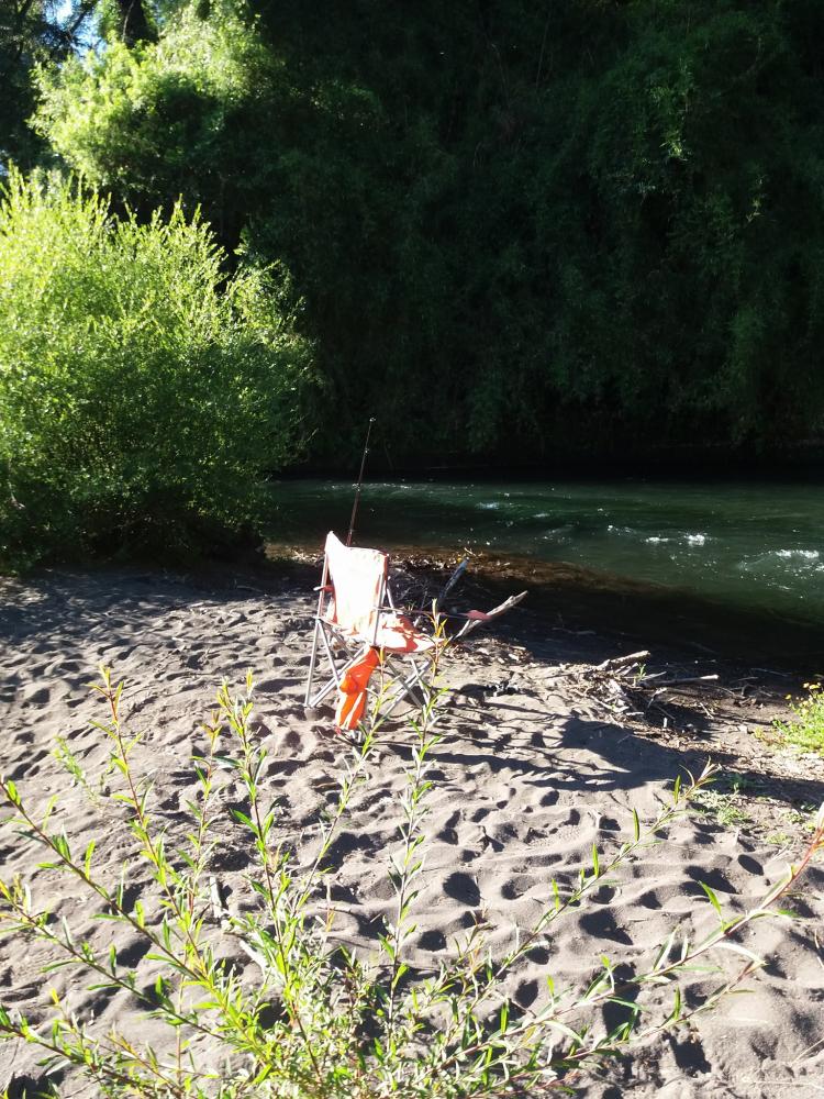 Fotografía 6 de Camping El Canto del Agua en Curacautin, Araucania