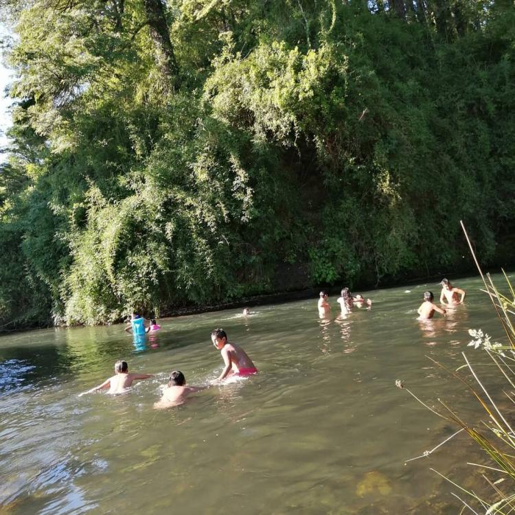 Fotografía 8 de Camping El Canto del Agua en Curacautin, Araucania