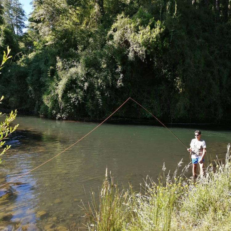Fotografía 9 de Camping El Canto del Agua en Curacautin, Araucania