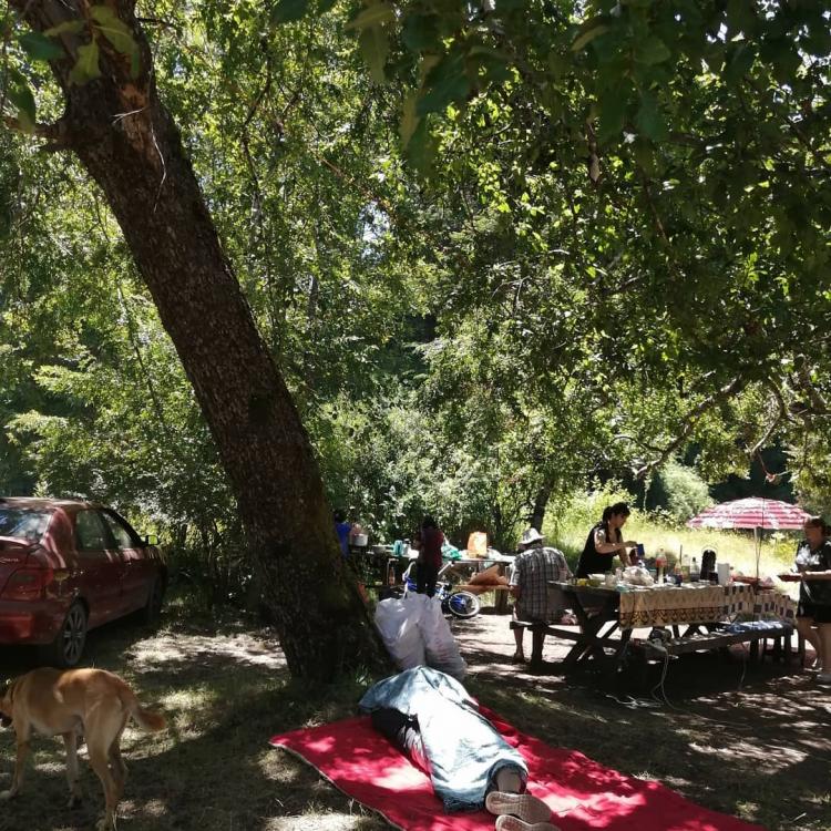 Fotografía 11 de Camping El Canto del Agua en Curacautin, Araucania