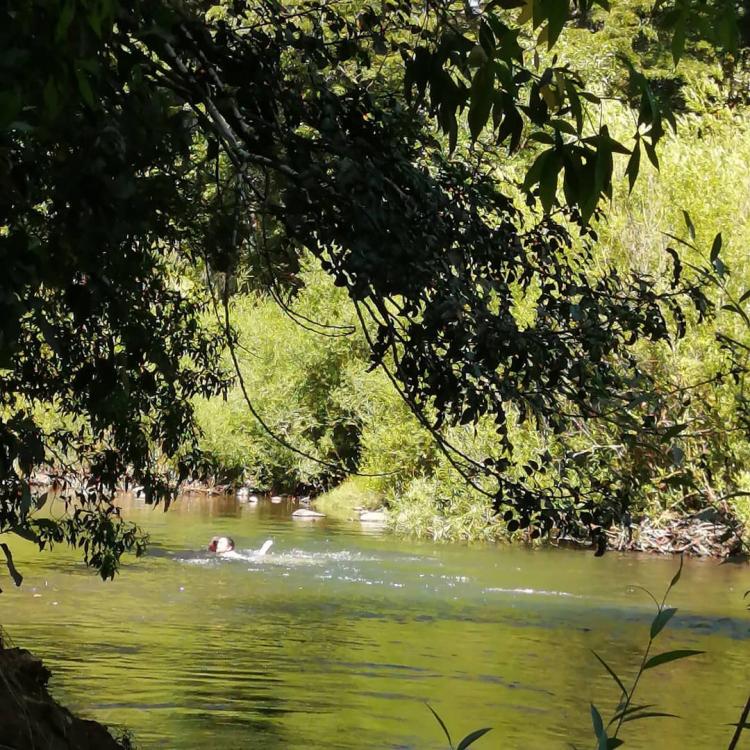 Fotografía 12 de Camping El Canto del Agua en Curacautin, Araucania