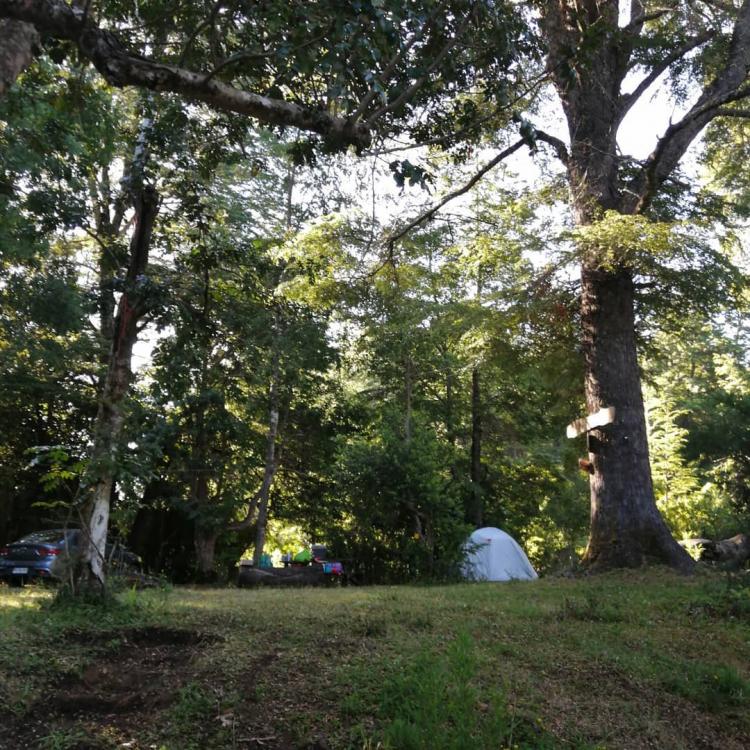 Fotografía 14 de Camping El Canto del Agua en Curacautin, Araucania