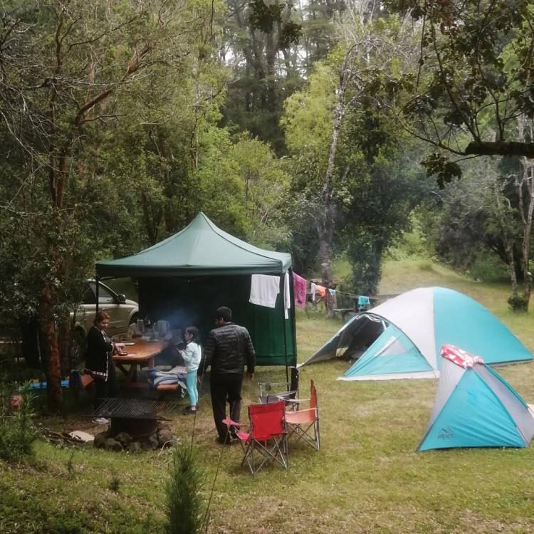 Fotografía 19 de Camping El Canto del Agua en Curacautin, Araucania