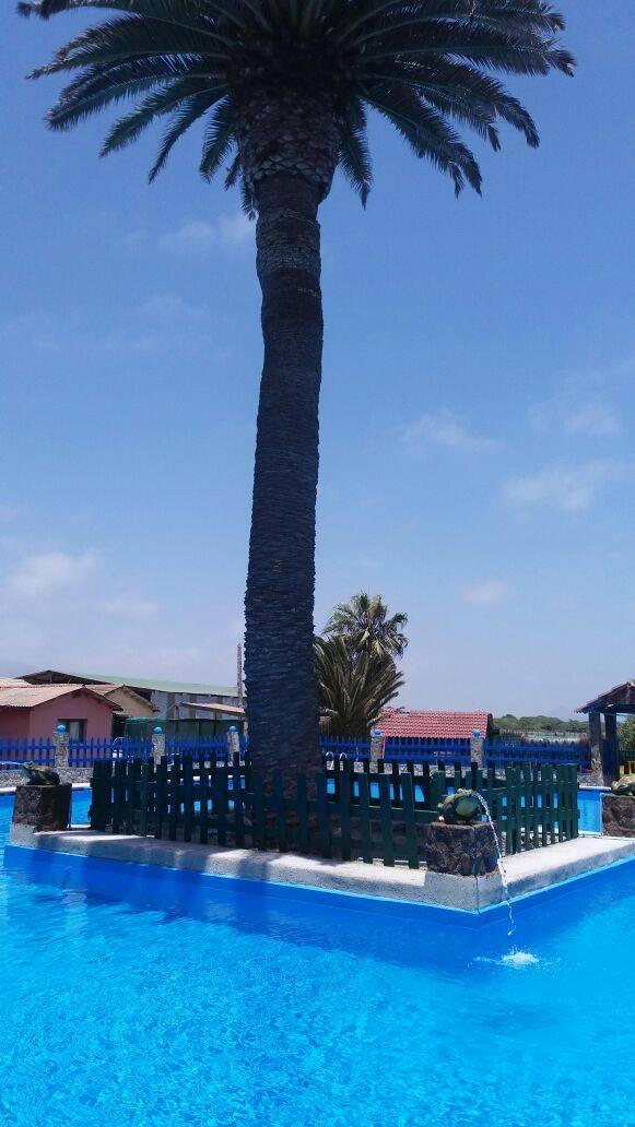 Fotografía 3 de Piscina las Palmeras en La Serena, Coquimbo
