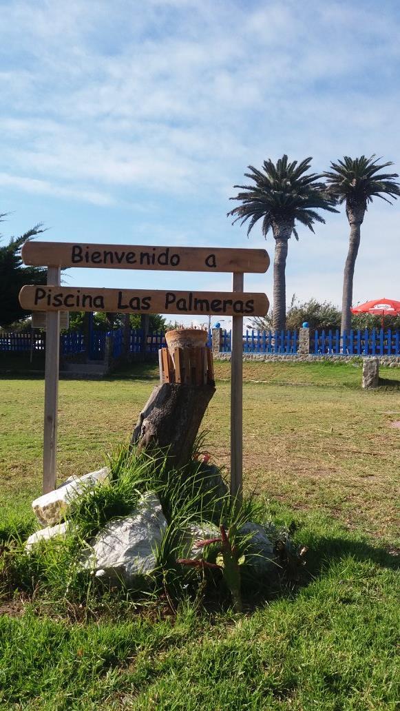Fotografía 12 de Piscina las Palmeras en La Serena, Coquimbo