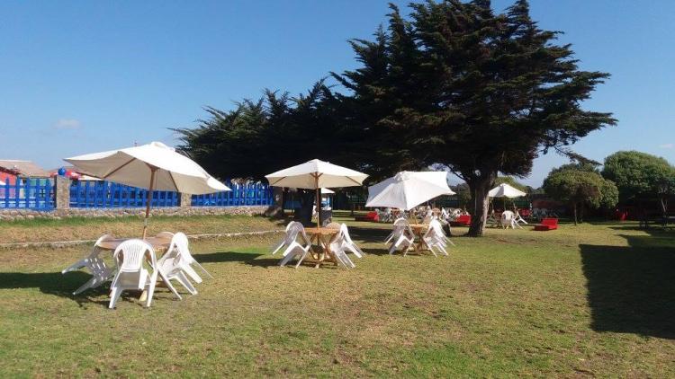 Fotografía 13 de Piscina las Palmeras en La Serena, Coquimbo