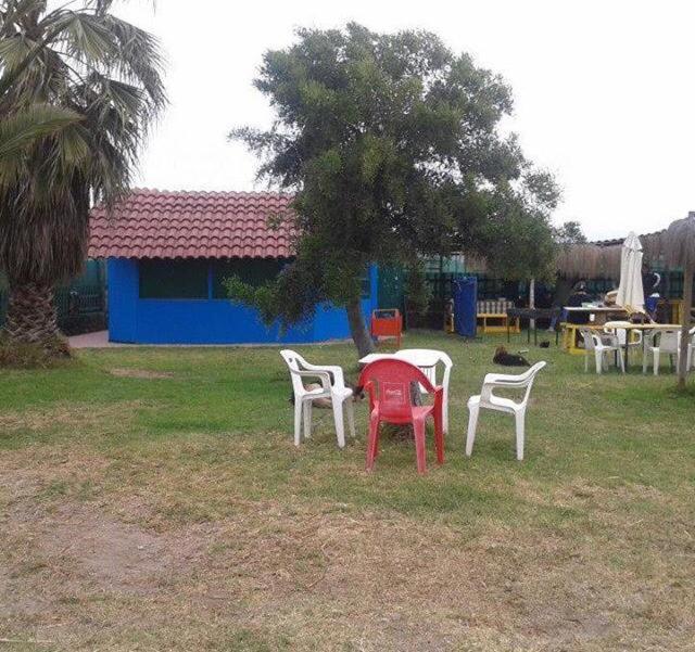 Fotografía 16 de Piscina las Palmeras en La Serena, Coquimbo