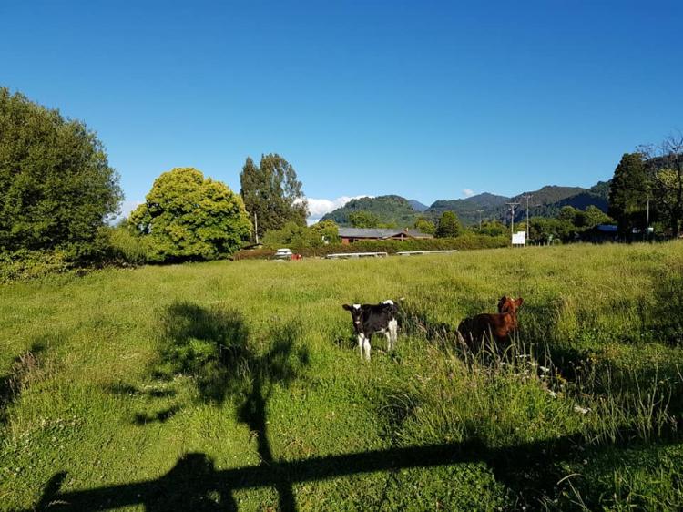 Fotografía 13 de Camping El Mirador en Lago Ranco, Los Rios