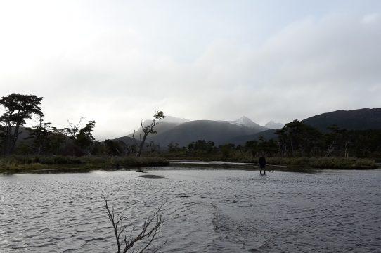 Fotografía 5 de Camping El Padrino en Cabo de Hornos, Magallanes