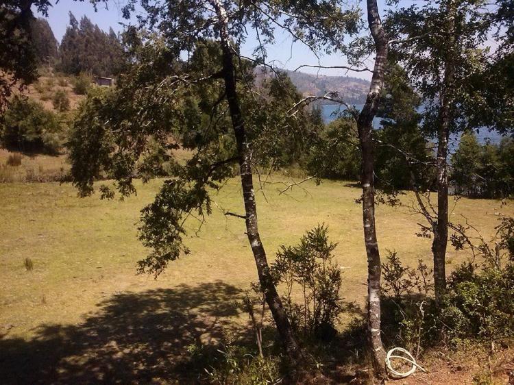 Fotografía 13 de Camping La Casa de Don Pedro Lleu Lleu en Contulmo, Bio Bio