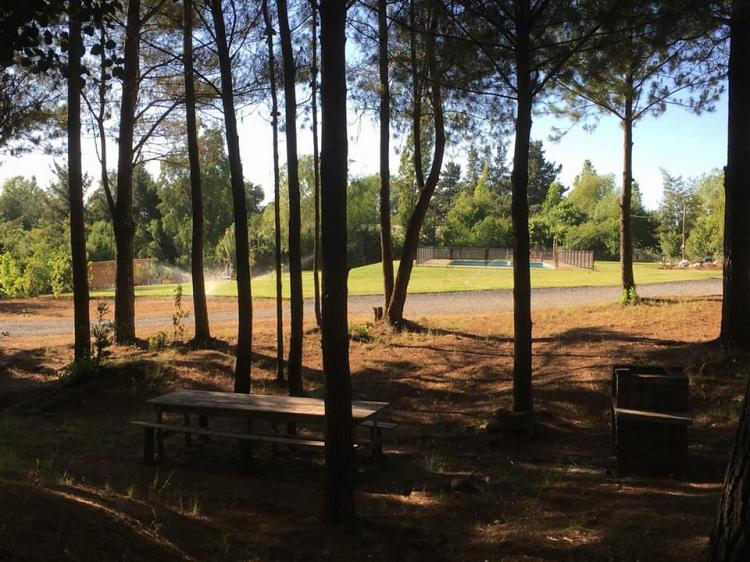 Fotografía 2 de Camping El Arrayan Quinamavida en Colbun, Maule