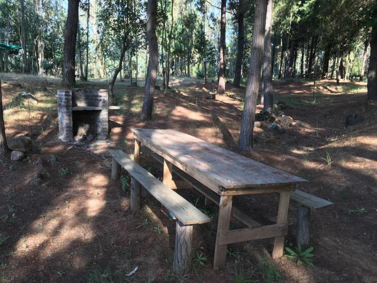 Fotografía 5 de Camping El Arrayan Quinamavida en Colbun, Maule