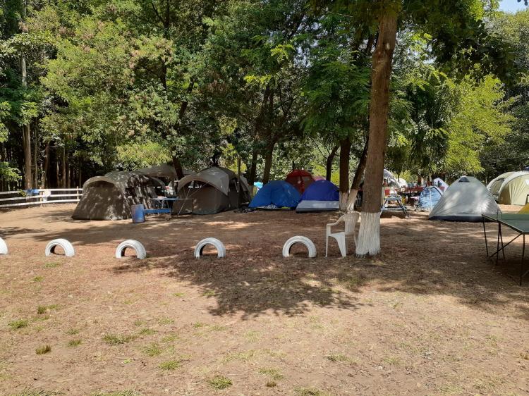 Fotografía 4 de Camping El Paraiso en Cabrero, Bio Bio