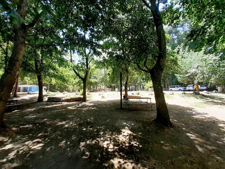 Fotografía 11 de Camping El Paraiso en Cabrero, Bio Bio