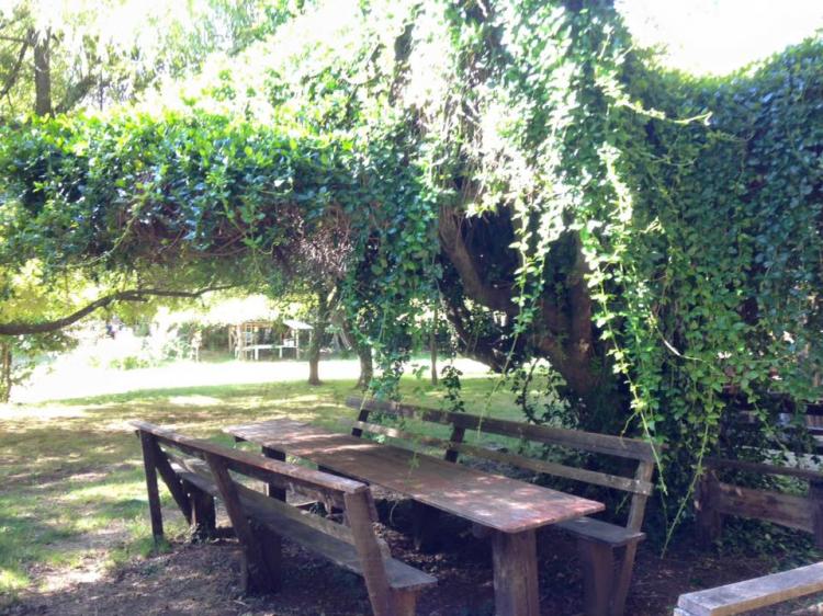 Fotografía 3 de Camping El Paraiso en Curacautin, Araucania