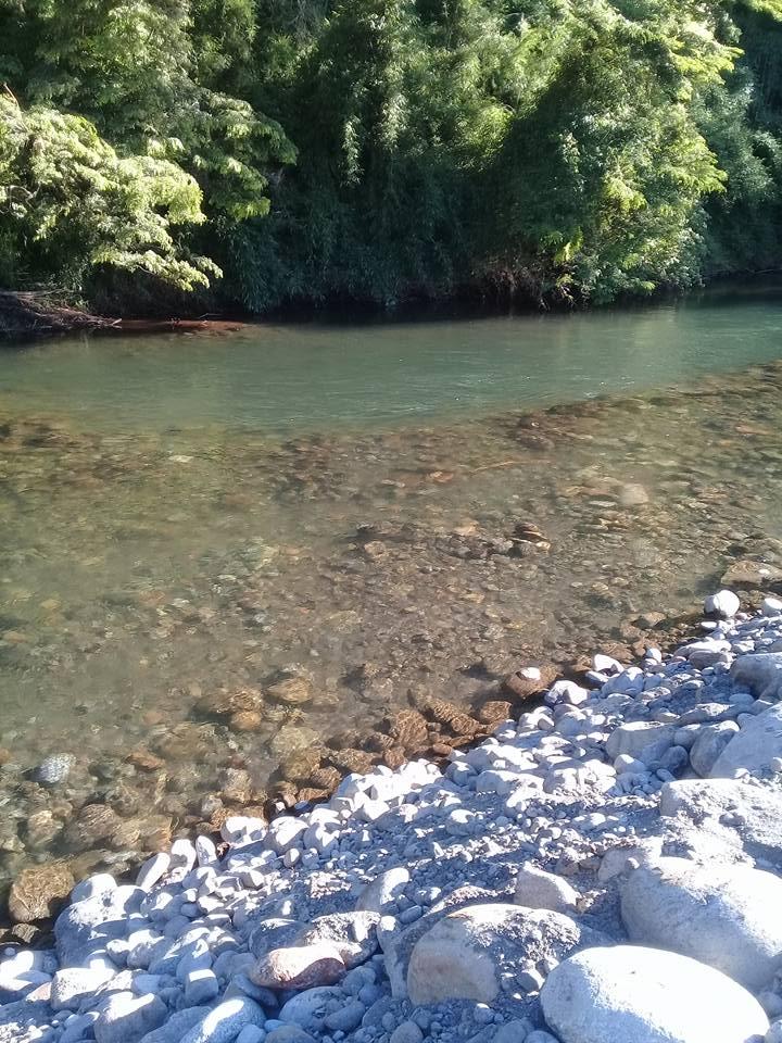 Fotografía 7 de Camping El Paraiso en Curacautin, Araucania