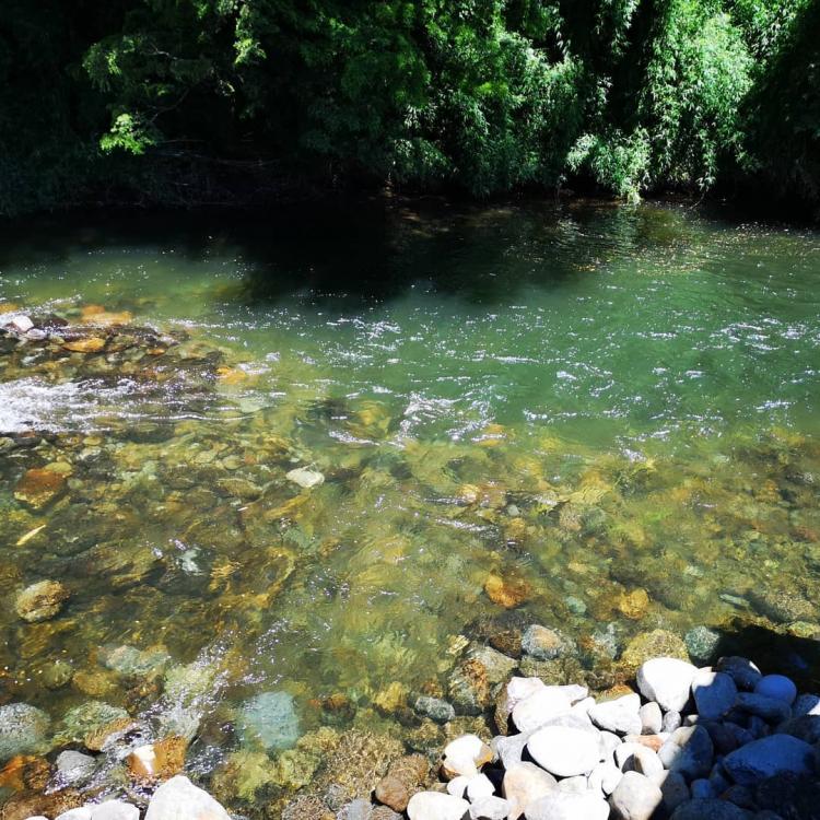 Fotografía 13 de Camping El Paraiso en Curacautin, Araucania