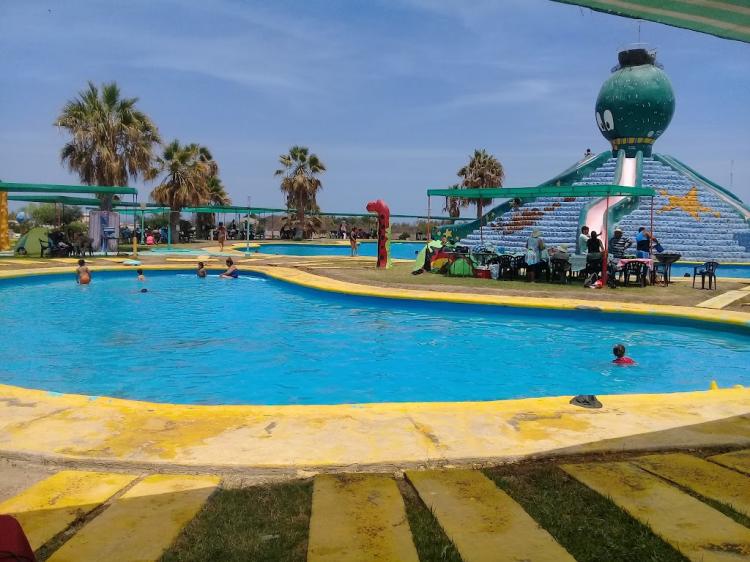 Fotografía 17 de Camping El Pulpo en Arica, Arica Y Parinacota