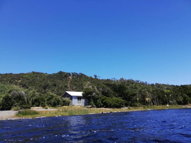 Fotografía 5 de Camping Flor Del Lago en Chonchi, Los Lagos