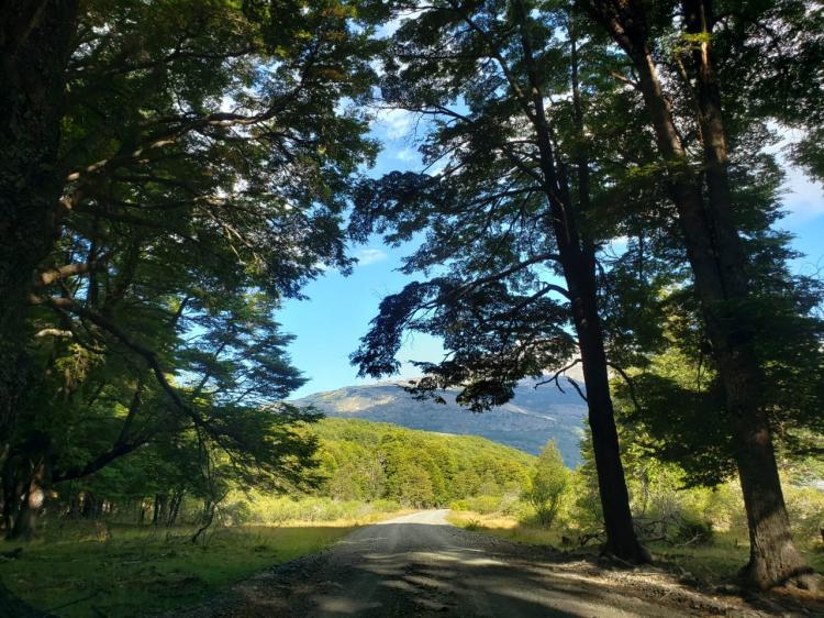Fotografía 2 de Camping La Araucaria en Cochrane, Aysen