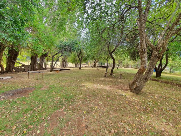 Fotografía 2 de Camping La Bandera en Futaleufu, Los Lagos
