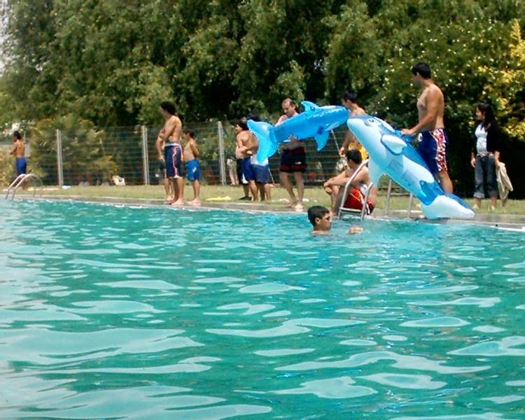 Fotografía 9 de Camping la Granja Educativa de Lonquen en Isla De Maipo, Metropolitana