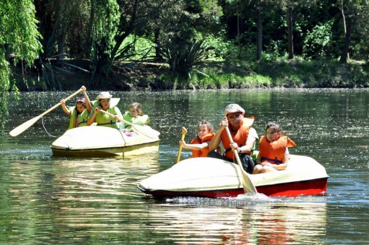 Fotografía 12 de Camping la Granja Educativa de Lonquen en Isla De Maipo, Metropolitana