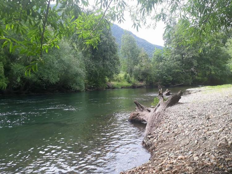 Camping Lanin Trancura en Curarrehue, Araucania