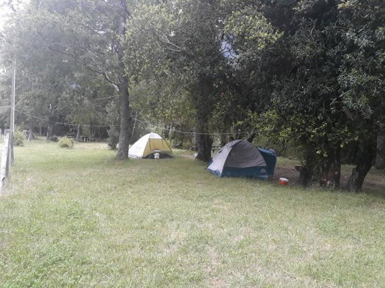 Fotografía 3 de Camping Lanin Trancura en Curarrehue, Araucania