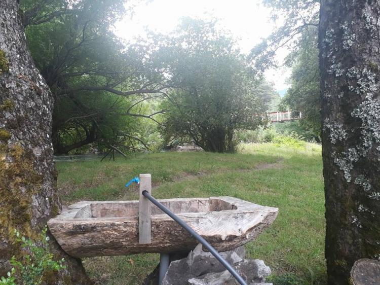 Fotografía 7 de Camping Lanin Trancura en Curarrehue, Araucania