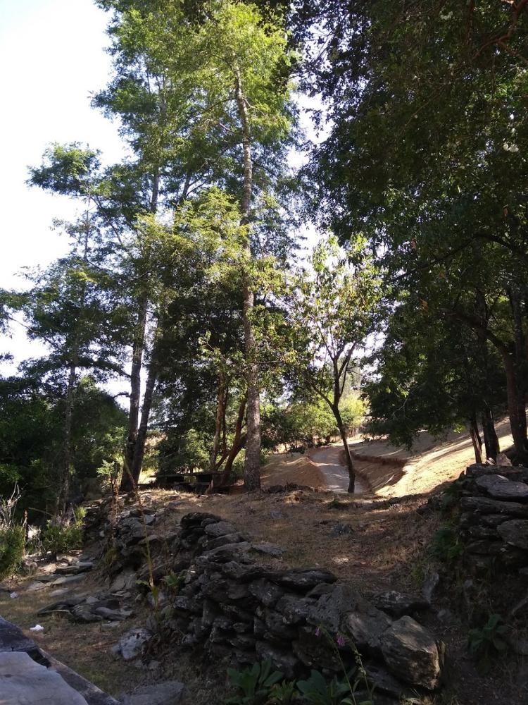 Fotografía 3 de Camping Lily en Carahue, Araucania