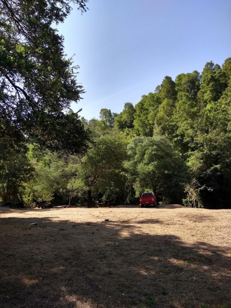 Fotografía 10 de Camping Lily en Carahue, Araucania