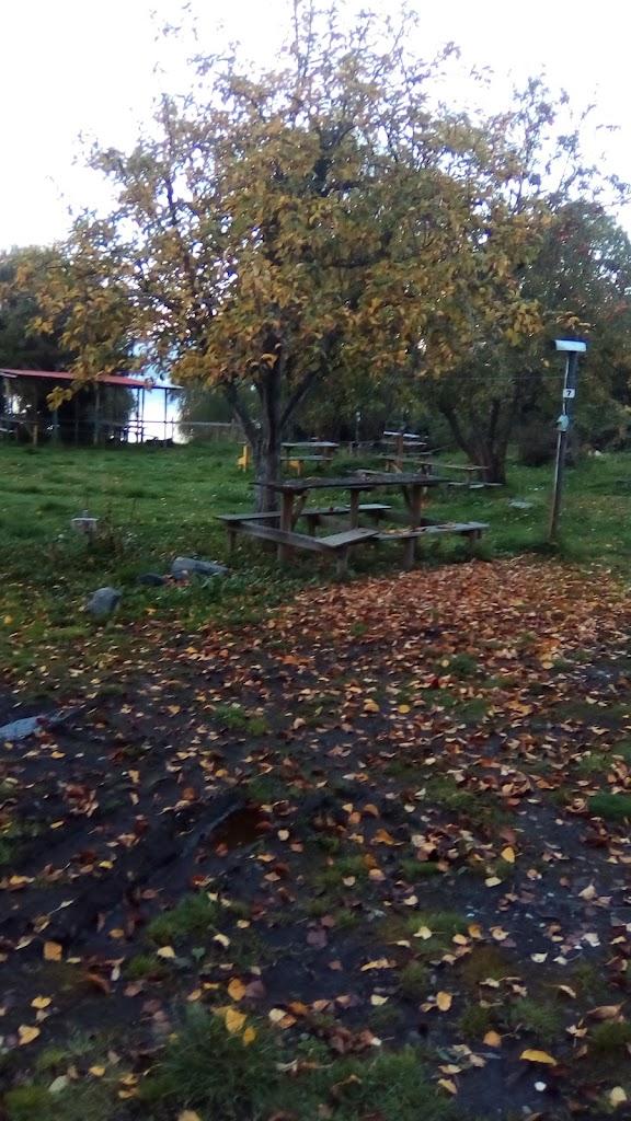 Fotografía 4 de Camping Vista Hermosa en Puyehue, Los Lagos