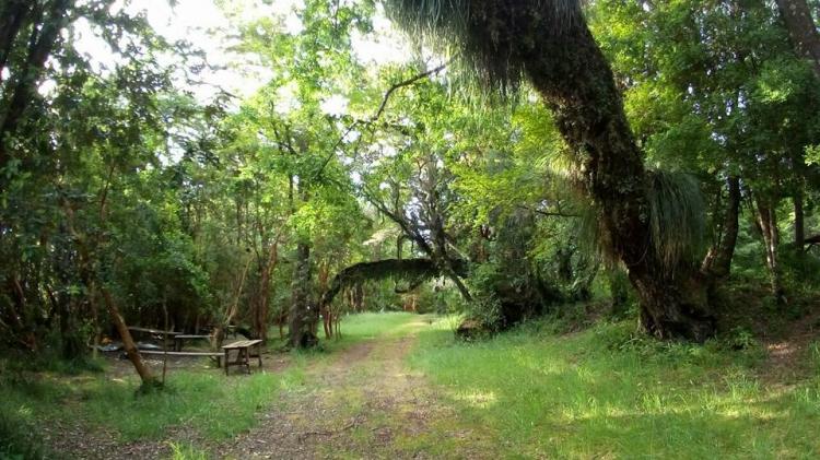 Fotografía 2 de Camping Quilches Riñinahue en Lago Ranco, Los Rios