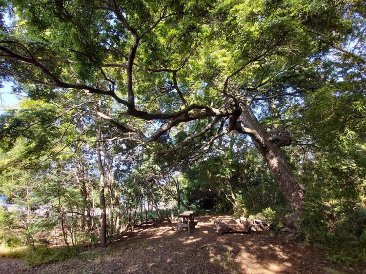 Fotografía 6 de Camping Quilches Riñinahue en Lago Ranco, Los Rios